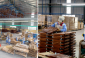 Doanh nghiệp gỗ Việt đẩy mạnh áp dụng tiêu chuẩn FSC để nâng năng suất và mở rộng thị trường