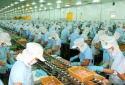 Doanh nghiệp Đồng Tháp chuẩn hóa quy trình thúc đẩy năng suất và chất lượng