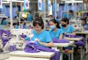 Quản lý chuỗi giá trị tối ưu hóa hiệu suất và chất lượng sản phẩm 