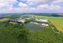 Vinamilk: Bài học điển hình về hiệu quả vốn nhà nước và sức bật thương hiệu toàn cầu