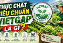 VietGAP: Không chỉ là 'tem rau sạch'