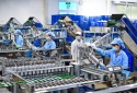 Công bố tiêu chuẩn áp dụng: Minh bạch thông tin, nâng cao trách nhiệm doanh nghiệp