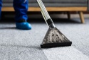 ASTM F3863 thúc đẩy đánh giá khách quan hiệu quả làm sạch thảm