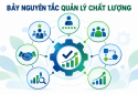 Bảy nguyên tắc quản lý chất lượng – Nền tảng nâng cao hiệu quả hoạt động của tổ chức