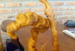 Sâm Ngọc Linh bị làm giả tinh vi