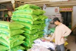 Phạt 12 doanh nghiệp bán thức ăn gia súc kém chất lượng