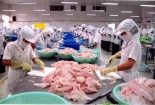 Doanh nghiệp thủy sản sụt giảm đơn hàng
