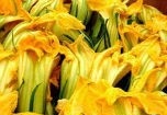 Một số món ngon từ bông bí