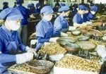 Phú Thọ: Cho doanh nghiệp khoa học vay vốn ưu đãi