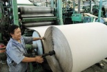 Ngành giấy tồn kho gần 39.000 tấn