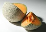 Dưa vàng nhiễm khuẩn gây chết người tại Mỹ