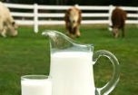 Sử dụng và bảo quản sữa thế nào cho đúng?