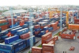 Phát hiện trên 200 container phạm pháp