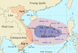 Bão số 7 tiến vào Đà Nẵng