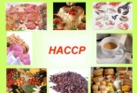 Đã áp dụng HACCP có nhất thiết phải chuyển đổi sang ISO 22000?