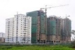 Chung cư dưới 21 triệu đồng/m2 bán chạy