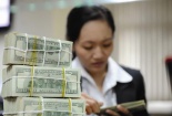 Tội phạm tham nhũng gia tăng