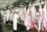 TP.Hồ Chí Minh: Tụ điểm thịt bẩn, thịt thối