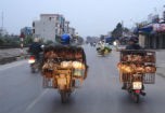 Quy trách nhiệm người đứng đầu nếu "gà đểu" bán tràn lan