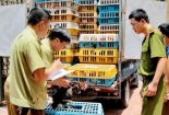 Chặn gà nhập lậu