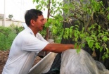 Giám đốc 'dị nhân' không bằng cấp