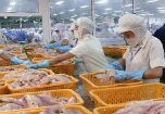 Sản xuất thủy sản “sạch” cần quá trình sản xuất chuẩn
