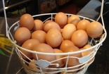 Người tiêu dùng không nên hoang mang về trứng gia cầm