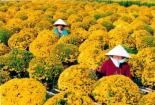 Lời giải bài toán kinh tế 2013