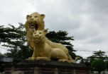 Sức sống mãnh liệt của Bokor sau hoang phế