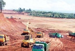 Boxit Tây Nguyên: Nhà khoa học vào cuộc