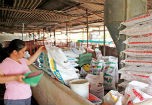 Lo ngại thức ăn chăn nuôi hạ giá, giảm chất lượng