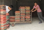 Trứng gà "ế" đầy kho