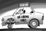 Du khách Nhật bản bị taxi dù "chém" đẹp