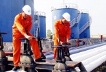 Ứng dụng ERP trong kinh doanh xăng dầu