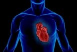 Phát hiện gen làm 'tan nát' trái tim