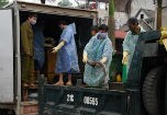 Tịch thu gần 2 tấn cá tầm nhập lậu đang chuyển về Hà Nội