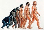 Loài người tách khỏi linh trưởng từ 30 triệu năm trước