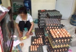 Tràn lan trứng bẩn!