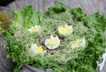 Khai vị với món salad rau mầm