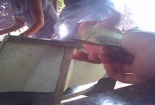 Kiểm lâm "ăn tiền" xưởng cưa