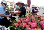Xoài, măng cụt, thanh long Trung Quốc gắn mác hoa quả Việt