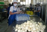 Luật thách đố người tiêu dùng