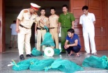 Bắt xe khách vận chuyển rắn hổ mang chúa trái phép