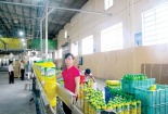 Cuộc đấu Mỹ Hảo - Unilever