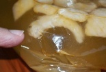 Bánh Oshi yoyo nghi có đỉa?
