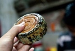 Bánh trung thu Trung Quốc tồn 3 năm tuồn vào Việt Nam?