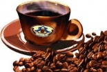 Vỡ nợ vì kinh doanh cafe qua mạng
