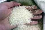 Trộn gạo bán: Cơ quan chức năng thiếu kiểm soát