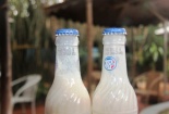 Sữa đậu nành Tribeco vón cục, đặc quẹo 