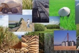 Năm 2014 kinh tế sẽ sáng hơn